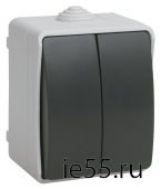 ВС20-2-0-ФСр Выключатель двухклавишный для открытой установки ФОРС IP54 IEK